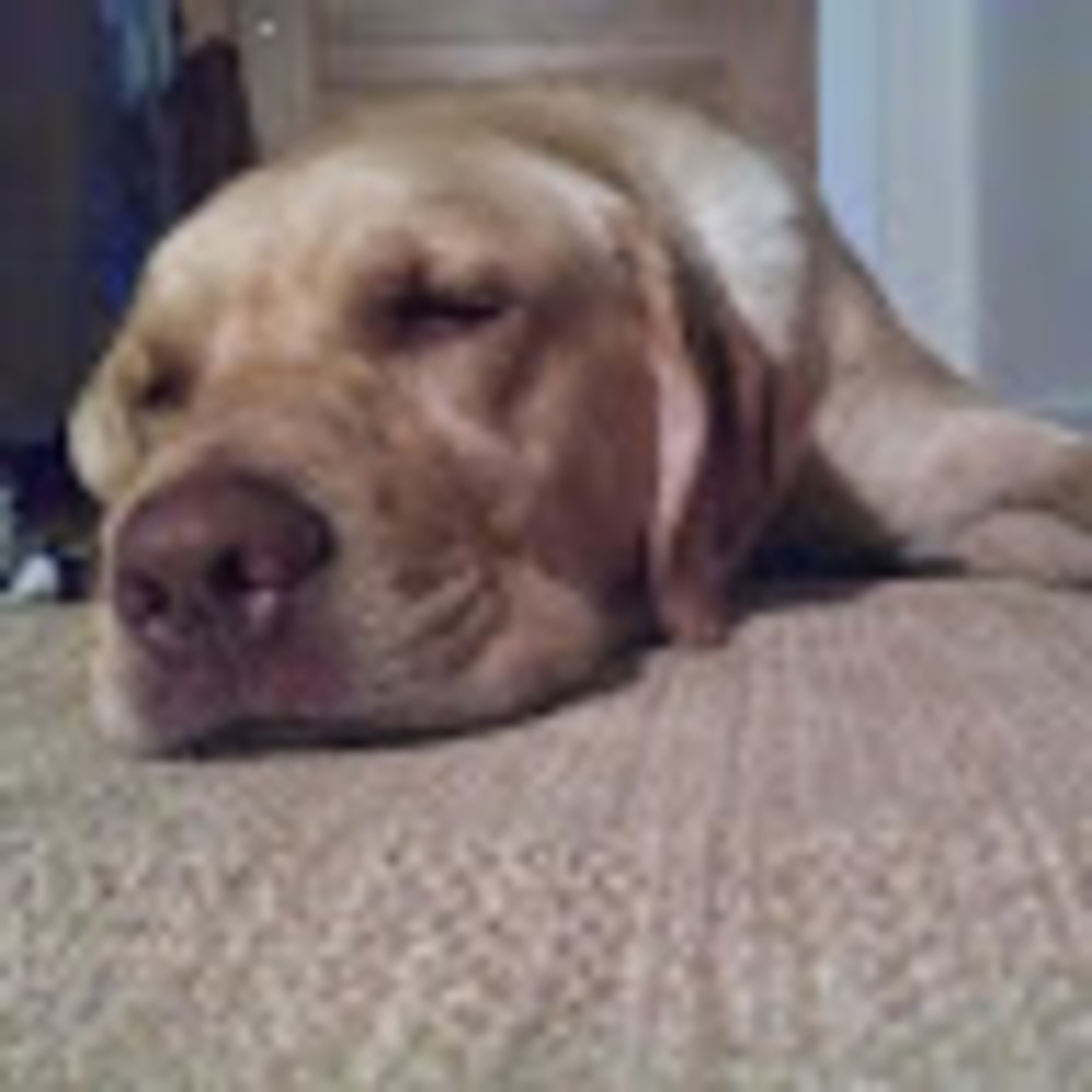 Meet your Posher, Tyler l.